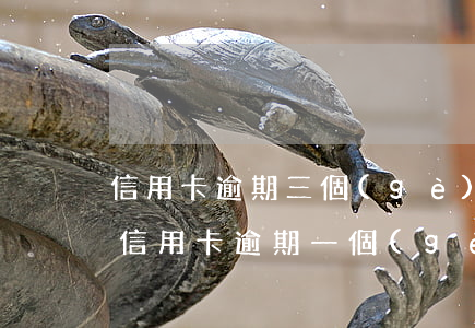 信用卡逾期三個(gè)月利息高嗎(三萬的信用卡逾期一個(gè)月利息是多少)