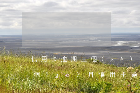 信用卡逾期三個(gè)月卡片額度清零(每個(gè)月信用卡逾期三天)