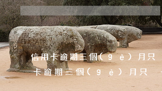 信用卡逾期三個(gè)月只換一部分(信用卡逾期三個(gè)月只換一部分)
