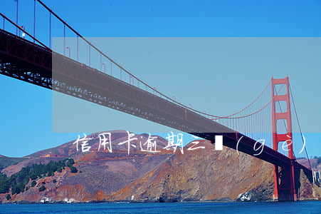 信用卡逾期三個(gè)月可以任高管么
