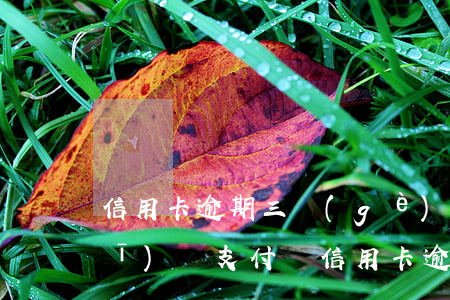 信用卡逾期三個(gè)月可以坐飛機(jī)嗎(支付寶信用卡逾期三個(gè)月可以坐飛機(jī)嗎)