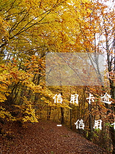 信用卡逾期三個(gè)月可以辦理分期么-信用卡逾期三個(gè)月可以辦理分期么嗎