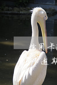 信用卡逾期三個(gè)月可以還嗎(欠信用卡逾期三個(gè)月還可以溝通嘛)