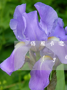 信用卡逾期三個(gè)月后(信用卡逾期三個(gè)月后每個(gè)月還一點(diǎn))