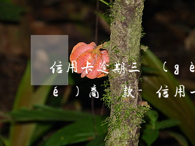 信用卡逾期三個(gè)月后怎么協(xié)商還款-信用卡逾期三個(gè)月后怎么協(xié)商還款呢