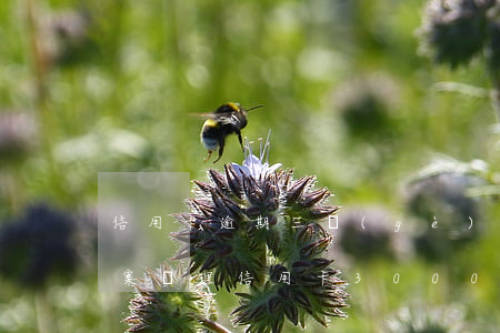 信用卡逾期三個(gè)月后結(jié)案處理(信用卡3000逾期半年)