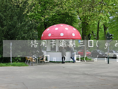 信用卡逾期三個(gè)月后還了一點(diǎn)點(diǎn)-信用卡逾期三個(gè)月后還了一點(diǎn)點(diǎn)錢怎么辦