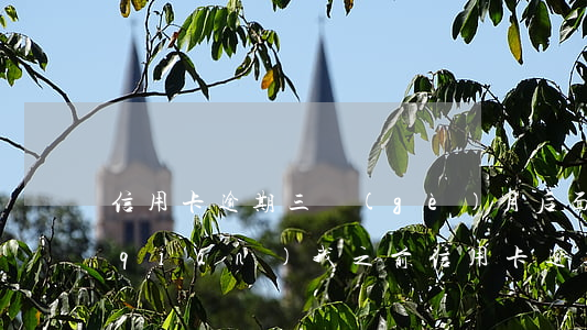 信用卡逾期三個(gè)月后面月月還錢(qián) 我之前信用卡逾期三月還能申請(qǐng)嗎