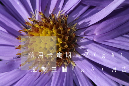 信用卡逾期三個(gè)月告了法院（信用卡逾期三個(gè)月告了）