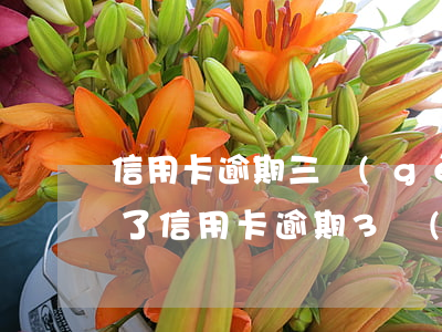 信用卡逾期三個(gè)月報(bào)警了(信用卡逾期3個(gè)月了)