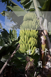 信用卡逾期三個(gè)月多少費(fèi)用(信用卡3萬(wàn)逾期3年應(yīng)還多少錢)