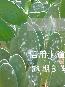 信用卡逾期三個(gè)月如何上岸(信用卡逾期3年會(huì)怎么樣,如何上岸)