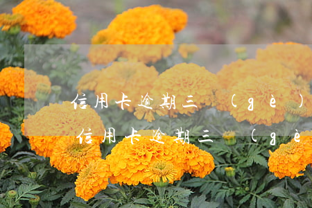 信用卡逾期三個(gè)月就是黑名單嗎-信用卡逾期三個(gè)月就是黑名單嗎怎么辦