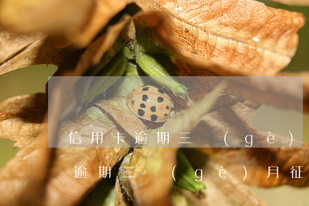 信用卡逾期三個(gè)月征信是幾(信用卡逾期三個(gè)月征信是幾)