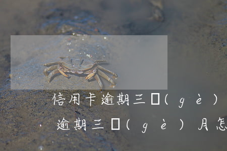 信用卡逾期三個(gè)月怎么消除(信用卡逾期三個(gè)月怎么消除)