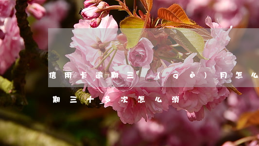 信用卡逾期三個(gè)月怎么辦（信用卡逾期三十多次怎么消）