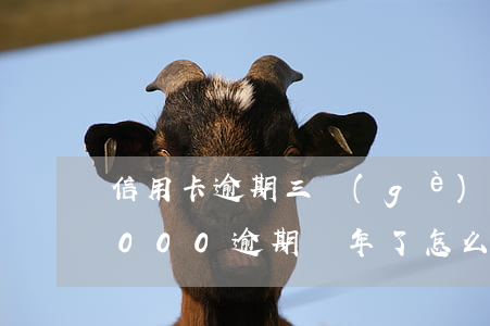 信用卡逾期三個(gè)月怎么還(信用卡3000逾期兩年了怎么辦)