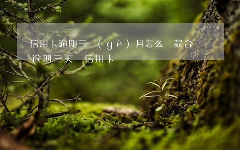 信用卡逾期三個(gè)月怎么還款合適-逾期三天還信用卡