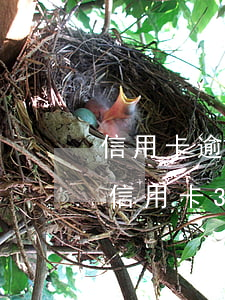 信用卡逾期三個(gè)月收到短信被起訴(信用卡3萬(wàn)逾期多久會(huì)被起訴)