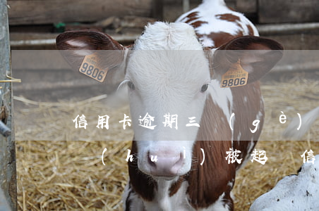 信用卡逾期三個(gè)月會(huì)不會(huì)被起訴(信用卡逾期三個(gè)月會(huì)被銀行起訴嗎)