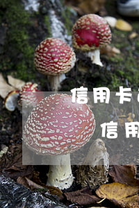信用卡逾期三個(gè)月會(huì)咋樣(信用卡逾期兩三天會(huì)怎么樣)