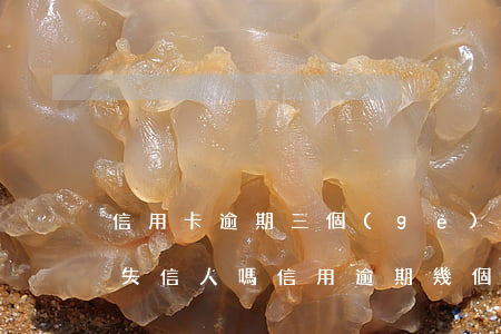 信用卡逾期三個(gè)月會(huì)成失信人嗎(信用逾期幾個(gè)月才算是失信人員了)