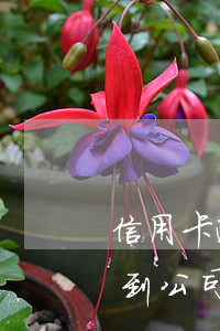 信用卡逾期三個(gè)月會(huì)找到公司嗎-信用卡逾期三個(gè)月會(huì)找到公司嗎
