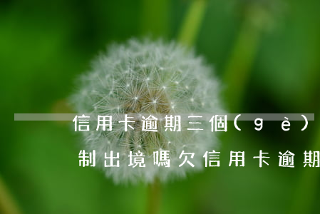 信用卡逾期三個(gè)月會(huì)限制出境嗎(欠信用卡逾期3個(gè)月,可不可以分期還)