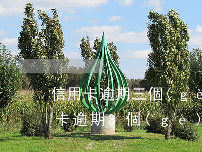 信用卡逾期三個(gè)月未還款(三張信用卡逾期3個(gè)月以上沒錢還)