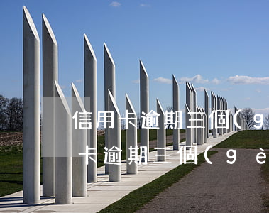 信用卡逾期三個(gè)月未還被傳喚 信用卡逾期三個(gè)月未還被傳喚會(huì)怎么樣