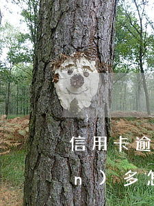 信用卡逾期三個(gè)月欠款一萬(wàn)多怎么辦（信用卡逾期三個(gè)月欠款一萬(wàn)多）