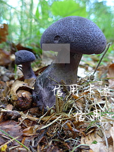 信用卡逾期三個(gè)月欠款三千被訴訟-信用卡逾期三個(gè)月欠款三千被訴訟怎么辦