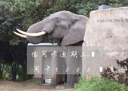 信用卡逾期三個(gè)月歸還以后額度(信用卡3000額度逾期兩年)