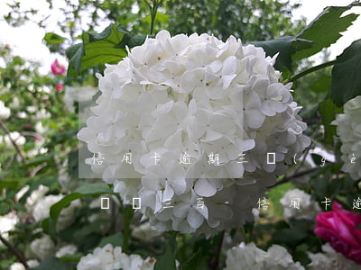 信用卡逾期三個(gè)月每個(gè)月還兩三百-信用卡逾期三個(gè)月每個(gè)月還兩三百正常嗎