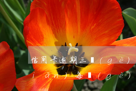 信用卡逾期三個(gè)月每月還一點(diǎn)(每個(gè)月信用卡逾期三天)