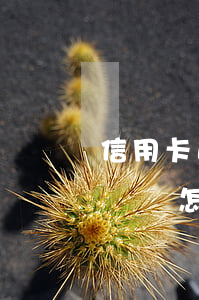 信用卡逾期三個(gè)月沒(méi)接電話怎么辦-信用卡逾期三個(gè)月沒(méi)接電話怎么辦理