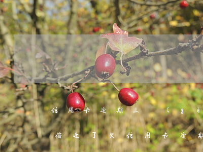 信用卡逾期三個(gè)月沒(méi)有催收了(欠信用卡逾期3個(gè)月以上,銀行催收怎么辦?)