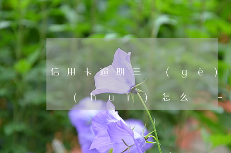 信用卡逾期三個(gè)月沒(méi)還會(huì)怎么樣-信用卡逾期三個(gè)月沒(méi)還會(huì)怎么樣嗎