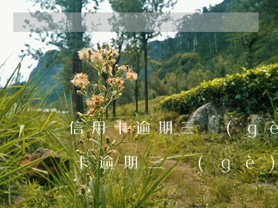信用卡逾期三個(gè)月法院有勝訴（信用卡逾期三個(gè)月法院有勝訴）