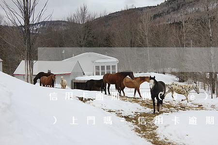 信用卡逾期三個(gè)月真的會(huì)上門嗎-信用卡逾期三個(gè)月真的會(huì)上門嗎知乎