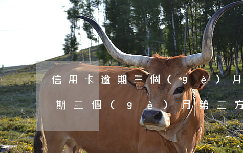信用卡逾期三個(gè)月第三方(信用卡逾期三個(gè)月第三方打電話說要上交材料起訴)
