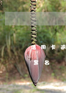信用卡逾期三個(gè)月算進(jìn)黑名單嗎-信用卡逾期三個(gè)月算進(jìn)黑名單嗎怎么辦