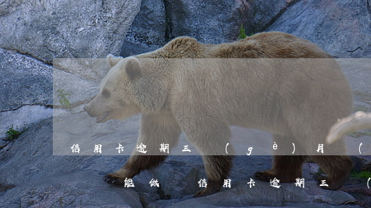 信用卡逾期三個(gè)月網(wǎng)貸還能做嗎(信用卡逾期三個(gè)月網(wǎng)貸還能做嗎嗎)