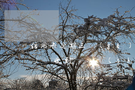 信用卡逾期三個(gè)月總部來(lái)電(收到電話說(shuō)信用卡逾期)