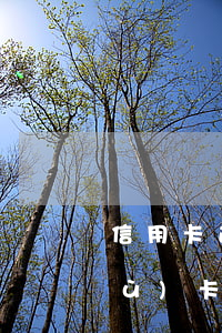信用卡逾期三個(gè)月能否辦公務(wù)卡-信用卡逾期三個(gè)月能否辦公務(wù)卡呢