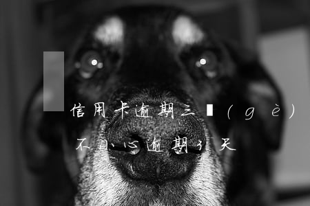 信用卡逾期三個(gè)月自救上岸(信用卡不小心逾期3天)
