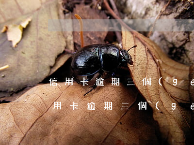 信用卡逾期三個(gè)月補(bǔ)救(信用卡逾期三個(gè)月怎么辦)