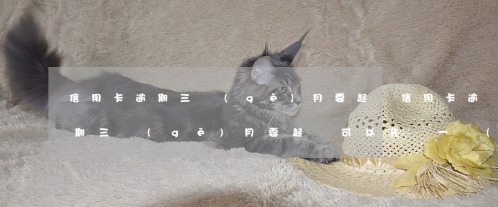 信用卡逾期三個(gè)月要起訴(信用卡逾期三個(gè)月要起訴,可以先還一點(diǎn)進(jìn)去嗎)
