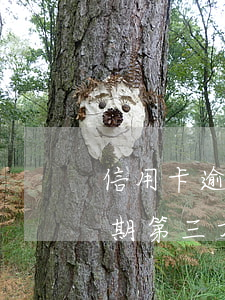 信用卡逾期三個(gè)月說上門(信用卡逾期第三方上門后會(huì)怎么辦?)
