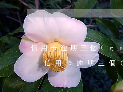 信用卡逾期三個(gè)月說上門是真的嗎-信用卡逾期三個(gè)月說上門是真的嗎?